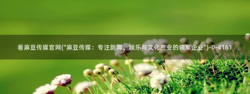 麻豆传媒官网公司：看麻豆传媒官网(\