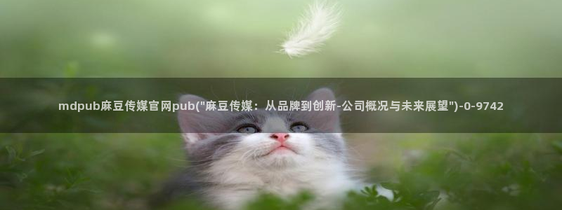 麻豆传媒直播官网福利：mdpub麻豆传媒官网pub(\