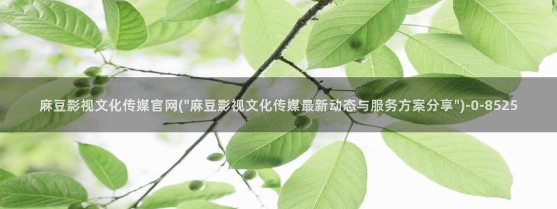 麻豆传媒官网贺岁：麻豆影视文化传媒官网(\