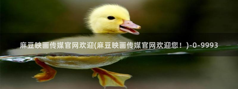 麻豆床传媒官网2021：麻豆映画传媒官网欢迎(麻豆映画传媒官网欢迎您！)