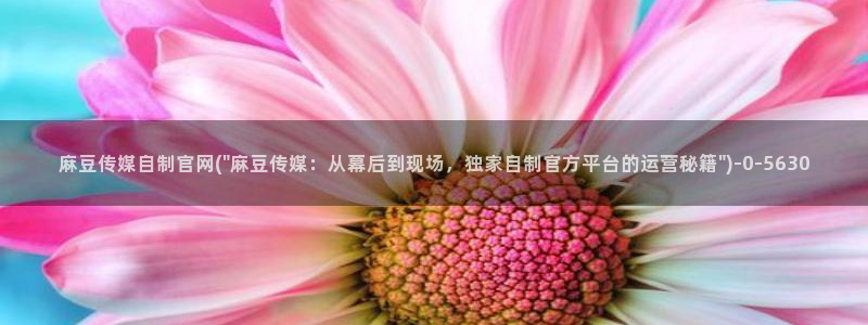 9麻豆传媒官网：麻豆传媒自制官网(\