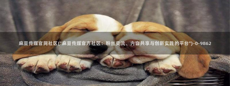 麻豆映像传媒官网：麻豆传媒官网社区(\